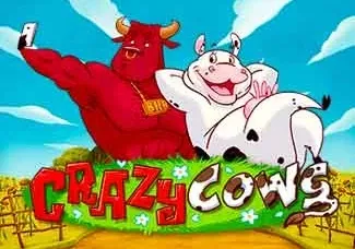 Crazy Cows